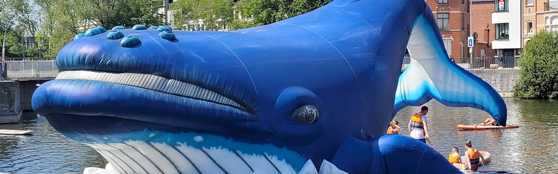 Large inflatable promotional material | X-Treme Creations inflatable whale, inflatable orca, inflatable beluga, floating, permanent, Dendermonde, river Schelde, river Dender,  legend, medieval, city marketing, 't Saske X-Treme Creations