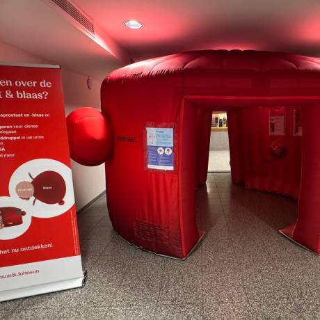 Medizinische Aufblasartikel Projekte mit einem Zweck Eingang der aufblasbaren Blase und hinter der aufblasbaren Prostata, entwickelt zusammen mit Videofactory zu präventiven Informationszwecken X-Treme Creations