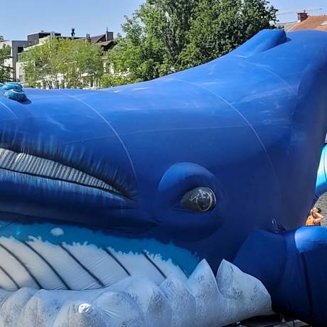 Innovative Konzepte Wir gestalten Ihre Ideen Historischer aufblasbarer Wal von 14 m Länge, der auf einem See in der Stadt Dendermonde schwimmt X-Treme Creations