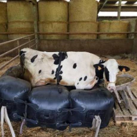 Innovative concepts We design your ideas airtight Air-Cow cushion tailor made for veterinarian inventer Pierre Schoenaers  X-Treme Creations