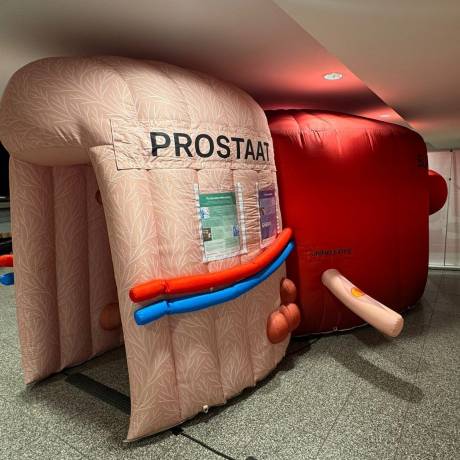 Medizinische Aufblasartikel Projekte mit einem Zweck Aufblasbare Prostata- und Blasenattrappe mit abnehmbaren Bannern außen und innen zur präventiven Aufklärung der Öffentlichkeit über diese Erkrankungen X-Treme Creations