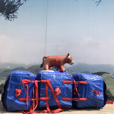 Industrie Opblaasobjecten als grensverleggende oplossing opblaasbaar luchtdicht Equi-Lift kussen gemaakt door dierenarts Pierre Schoenaers voor Animal Rescue team van de Brandweer X-Treme Creations