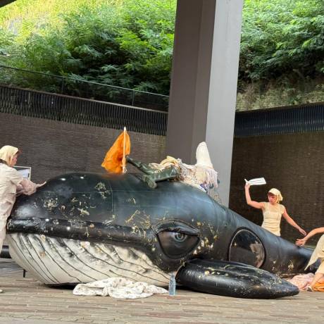 Concepts innovants Si vous pouvez l'imaginer, nous pouvons le créer une baleine à bosse gonflable pour Elsa Van Dijk lors du spectacle de théâtre en plein air *The Exploding Whale* à Louvain X-Treme Creations