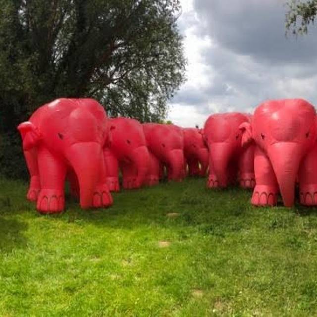 Grote opblaasbare dieren Opblaasbare groep grazende roze olifanten voor het wereldbekende Belgische biermerk Delirium X-Treme Creations