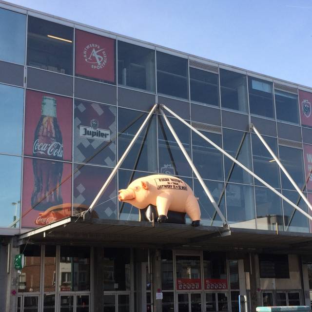 Große aufblasbare Tiere Aufblasbares Pink-Floyd-Schwein mit einer Länge von 4 Metern für die Tour von Roger Waters auf dem Dach des Sportpaleis in Antwerpen für Live Nation X-Treme Creations