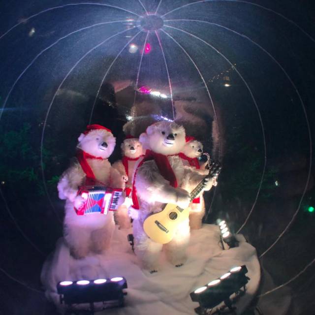 De transparante eyecatcher voor uw event! opblaasbare transparante pvc sneeuwbal met een ijsbeerorkest in het beste dierenpark van België Pairi Daiza X-Treme Creations