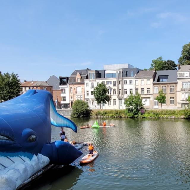 Big inflatable animals inflatable whale floating on river in Flemish city following a medieval legend, inflatable orca, inflatable beluga, floating, permanent, Dendermonde, river Schelde, river Dender,  legend, medieval, city marketing, 't Saske X-Treme Creations