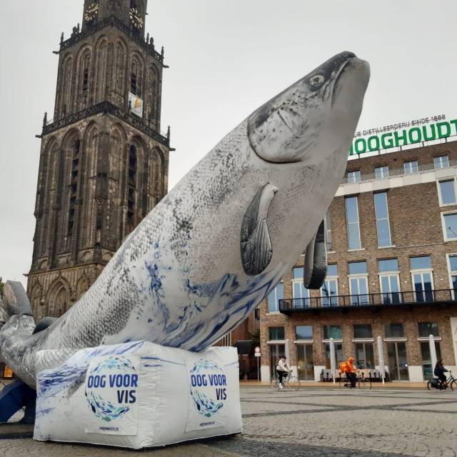 Grands animaux gonflables Poisson gonflable sur soccle en auto-ventilé sur une place au Pays Bas pour la ONG compassion in world farming, animeaux, saumon X-Treme Creations