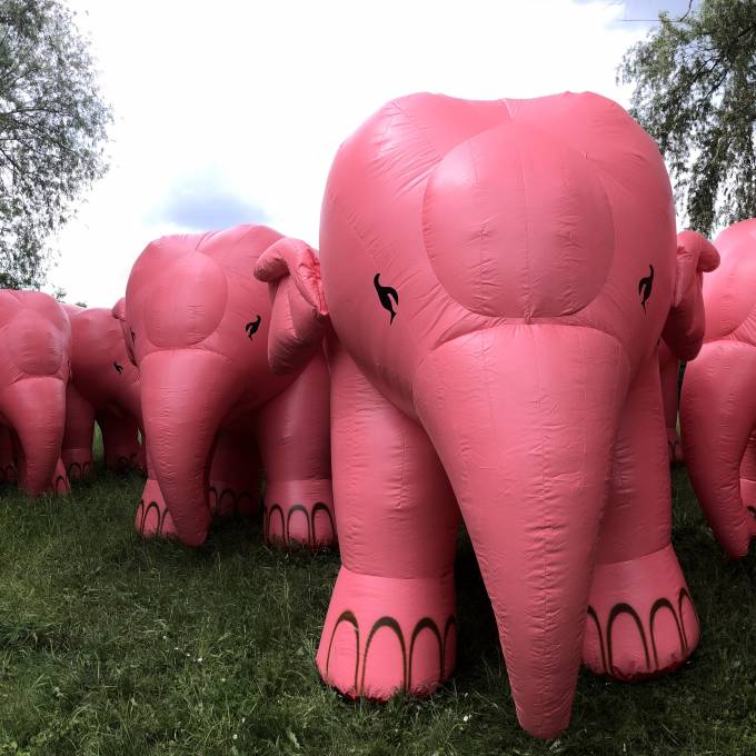 Large inflatable promotional material | X-Treme Creations Inflatable herd of pink Delirium elephants 3,2 m long eating in front of the factory POS/POP  & Promotion and gadgets  &  Huyghe Brewery X-Treme Creations